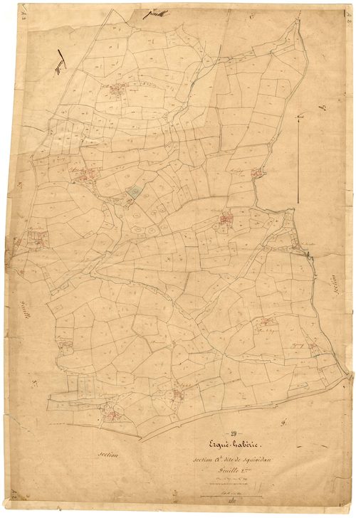 Section A 2 de Squividan (2ème partie).