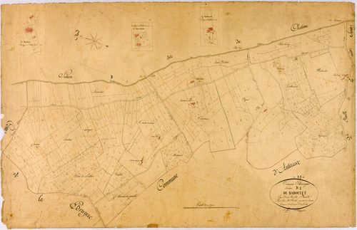 Auragne