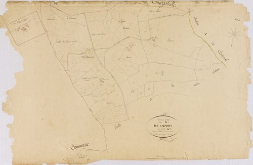 Calmont
