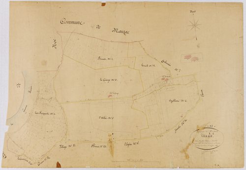 Montaut