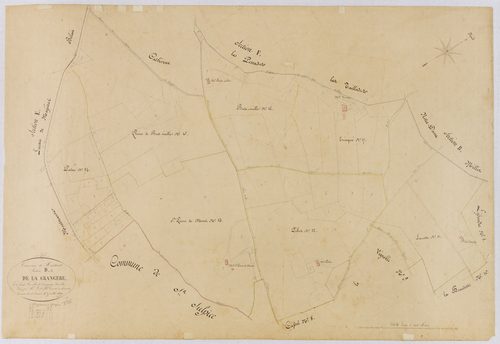 Montaut