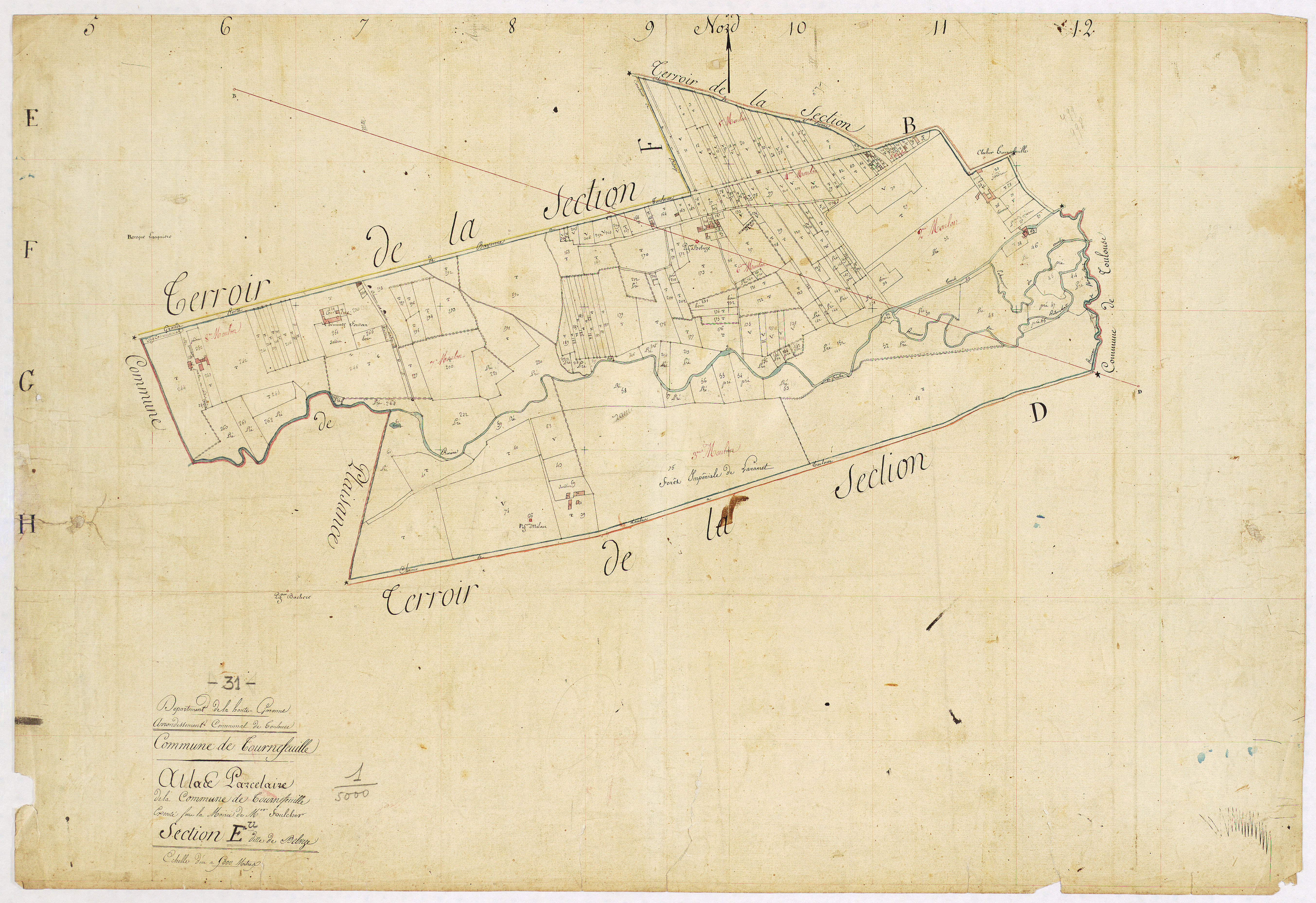 Tournefeuille