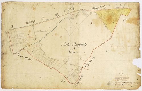 Tournefeuille