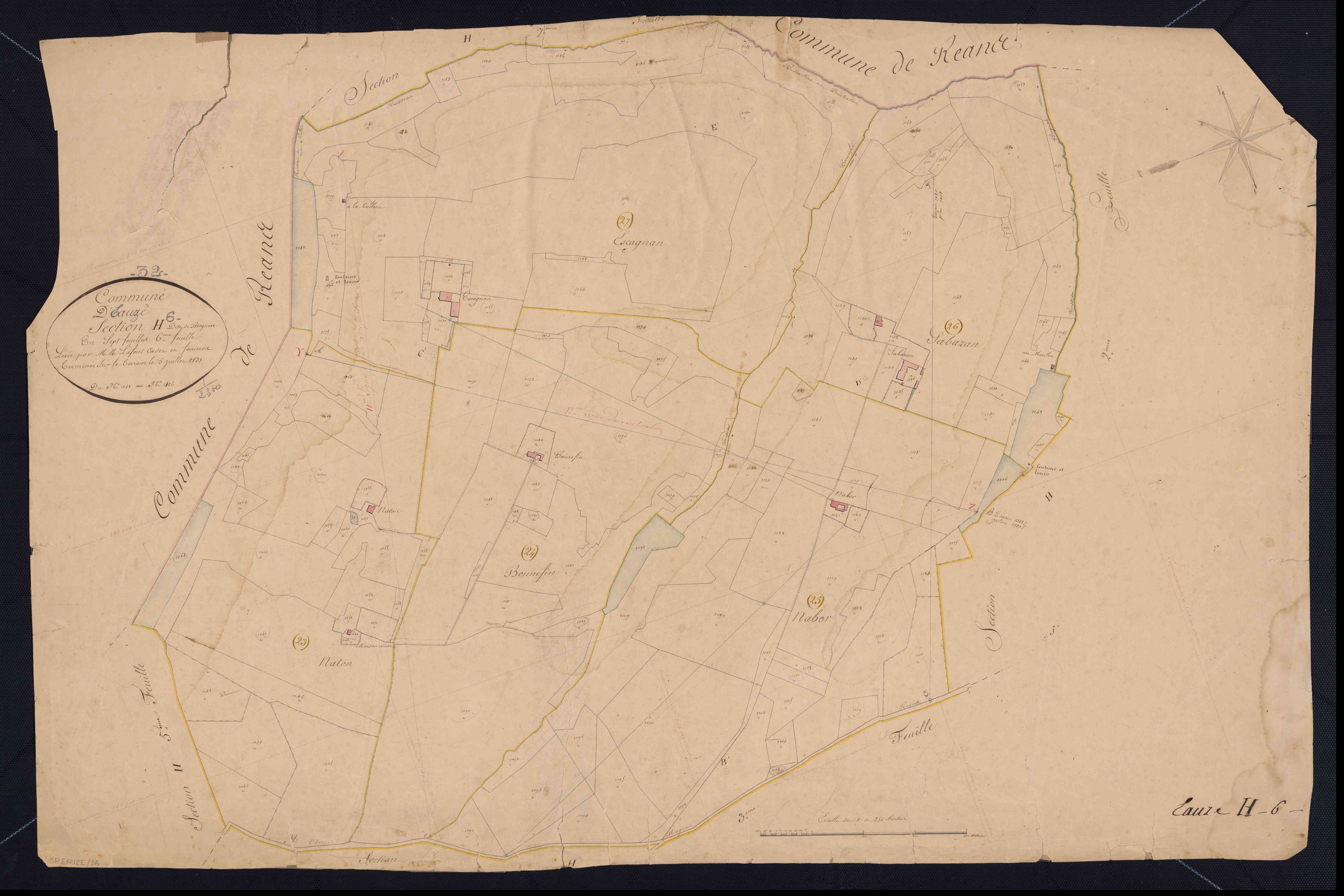3P EAUZE 36
