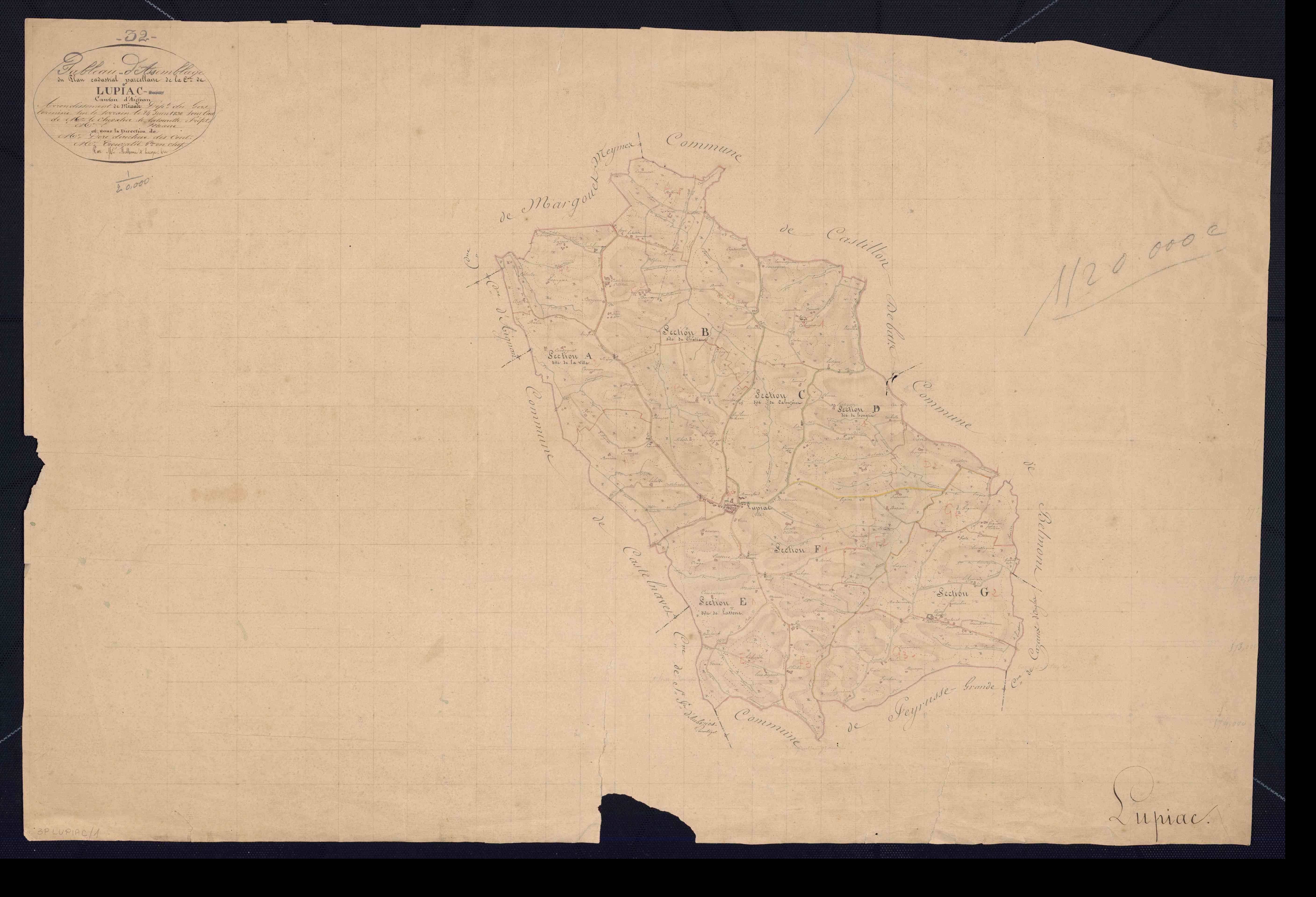 3P LUPIAC 1