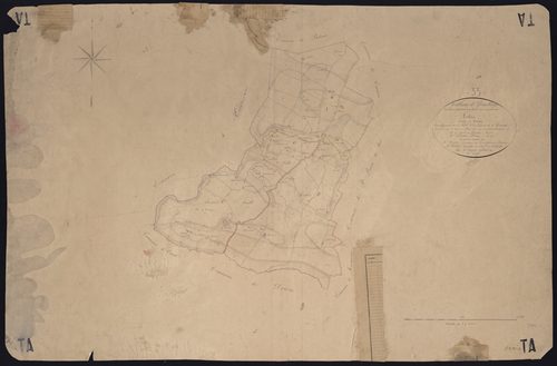 Arbis - -Tableau d'assemblage