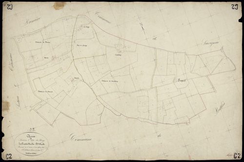 Auros - -Section E feuille 1 : Canteloup