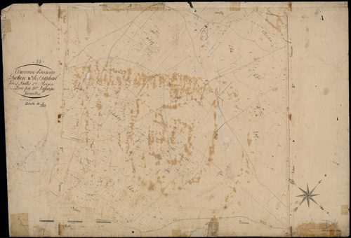 Avensan - -Section D feuille 4 : Saint-Raphaël