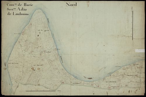 Barie - -Section B feuille 1 : Pignot