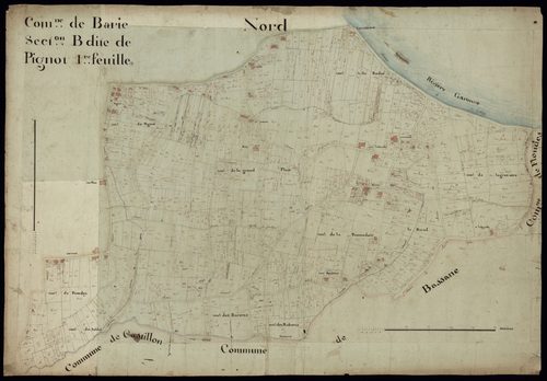 Barie - -Section B feuille 2 : Pignot