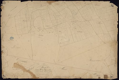 Le Barp - -Section D feuille 5 : Haureuils