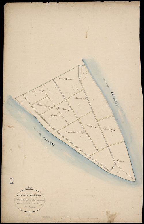 Bayon-sur-Gironde - -Section C feuille 1 : L' Ile Cazaux
