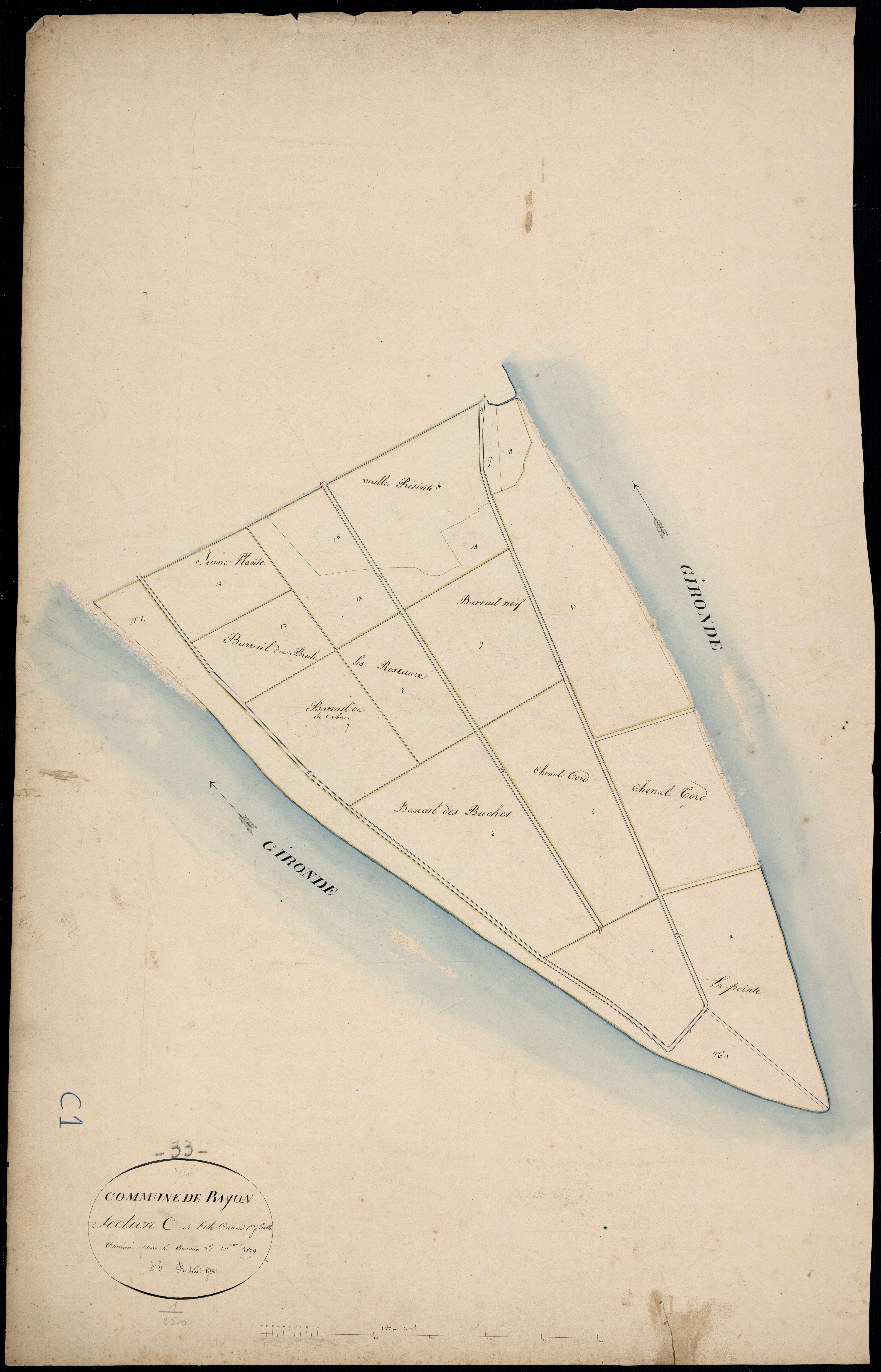 Bayon-sur-Gironde - -Section C feuille 1 : L' Ile Cazaux
