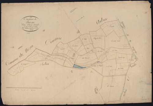 Bazas - -Section A feuille 1 : Tontoulon