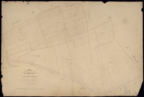 Billaux - -Section D feuille 1 : Les Roseaux