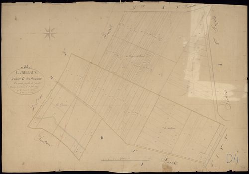 Billaux - -Section D feuille 4 : Les Roseaux