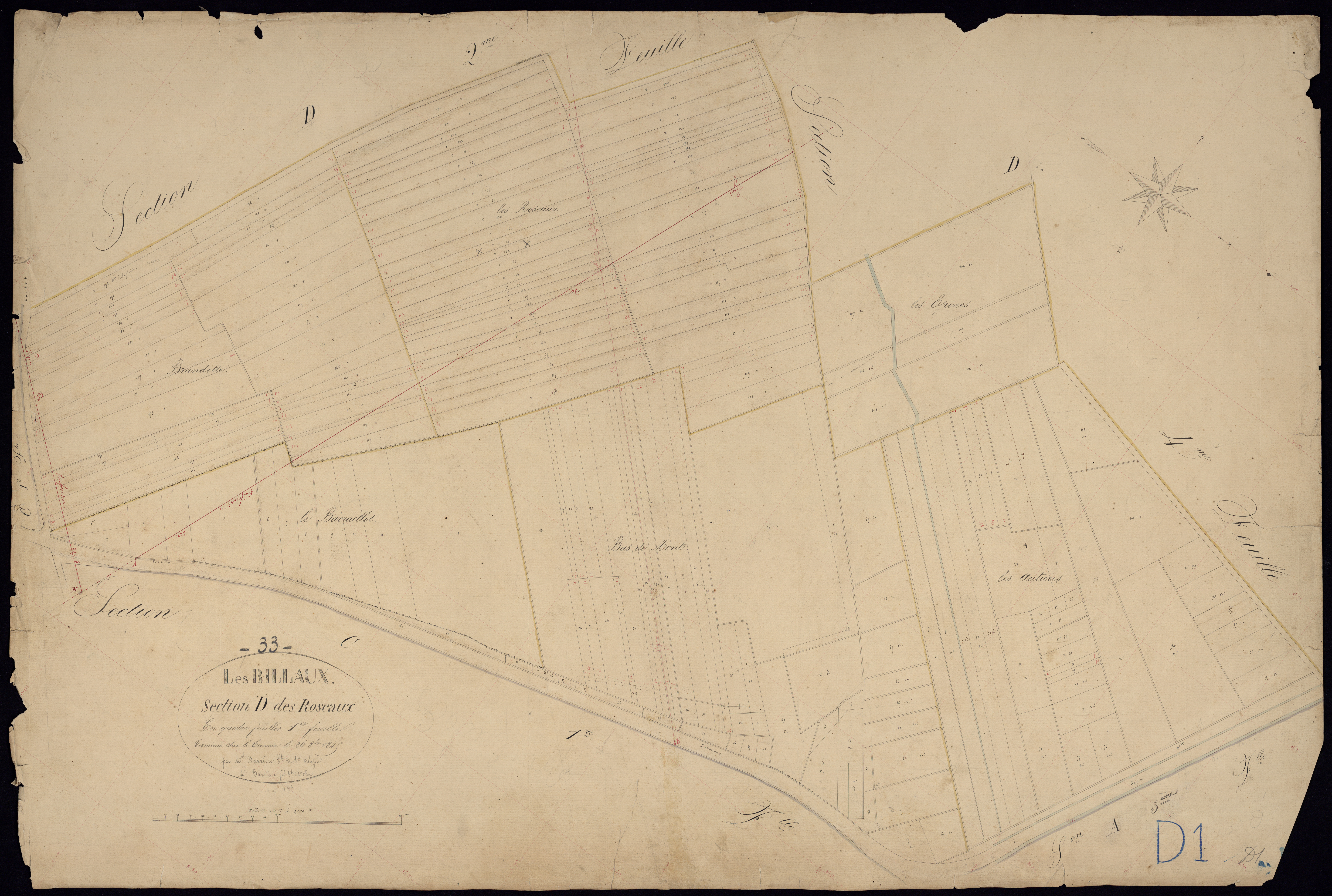 Billaux - -Section D feuille 1 : Les Roseaux
