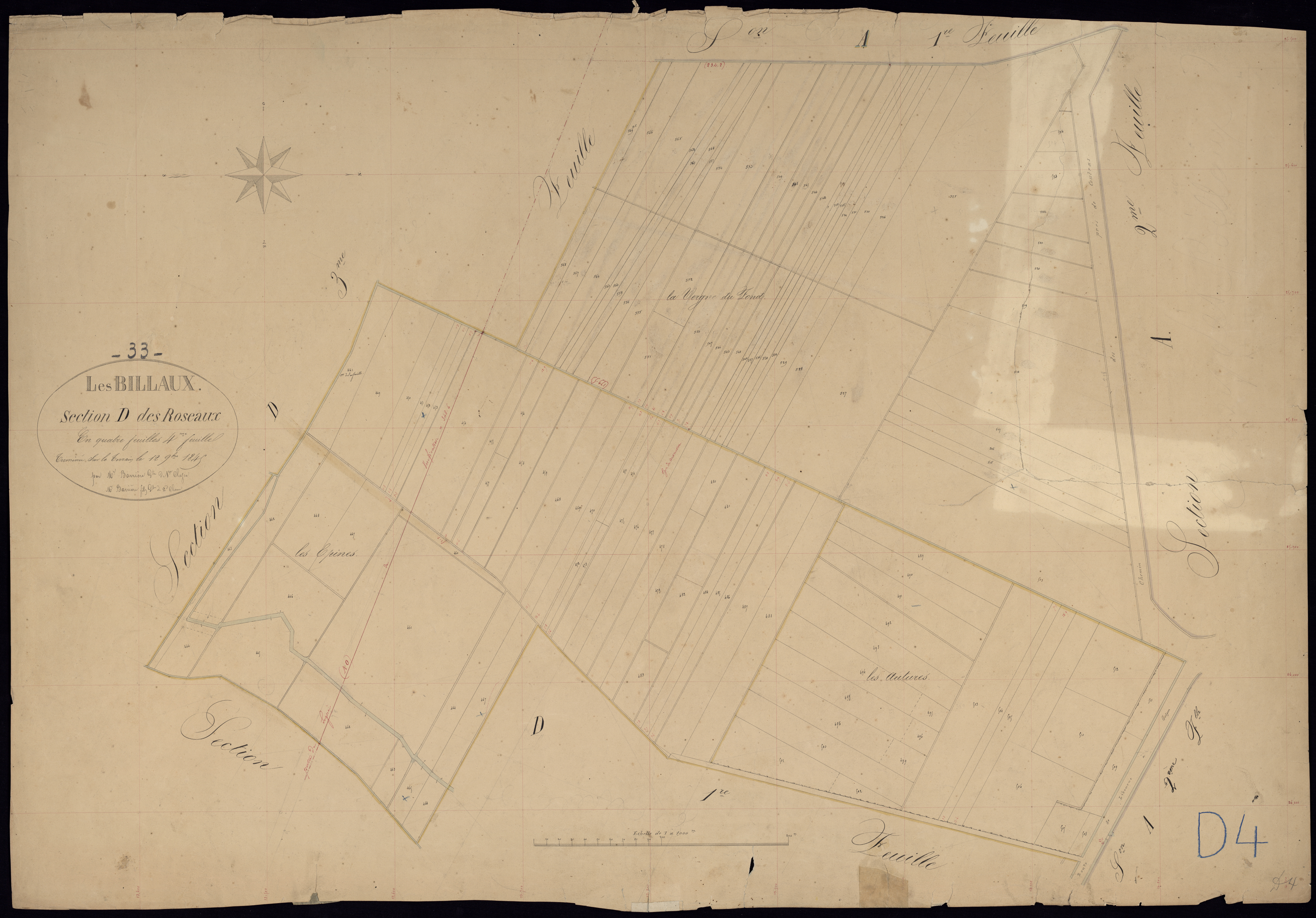 Billaux - -Section D feuille 4 : Les Roseaux