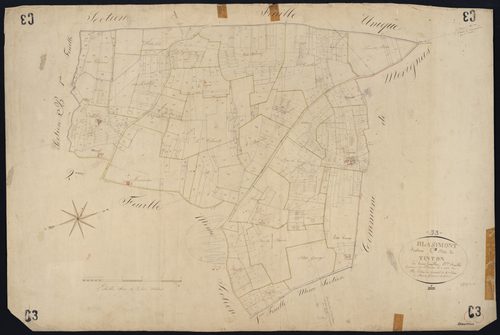 Blasimon - -Section C feuille 3 : Tinton