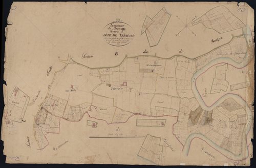 Bonzac - -Section C feuille 2 : Trincaud