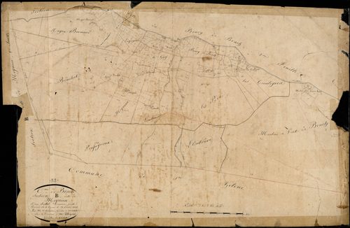 Brach - -Section B feuille 2 : Meynieu