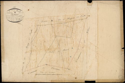 Brach - -Section B feuille 1 : Meynieu
