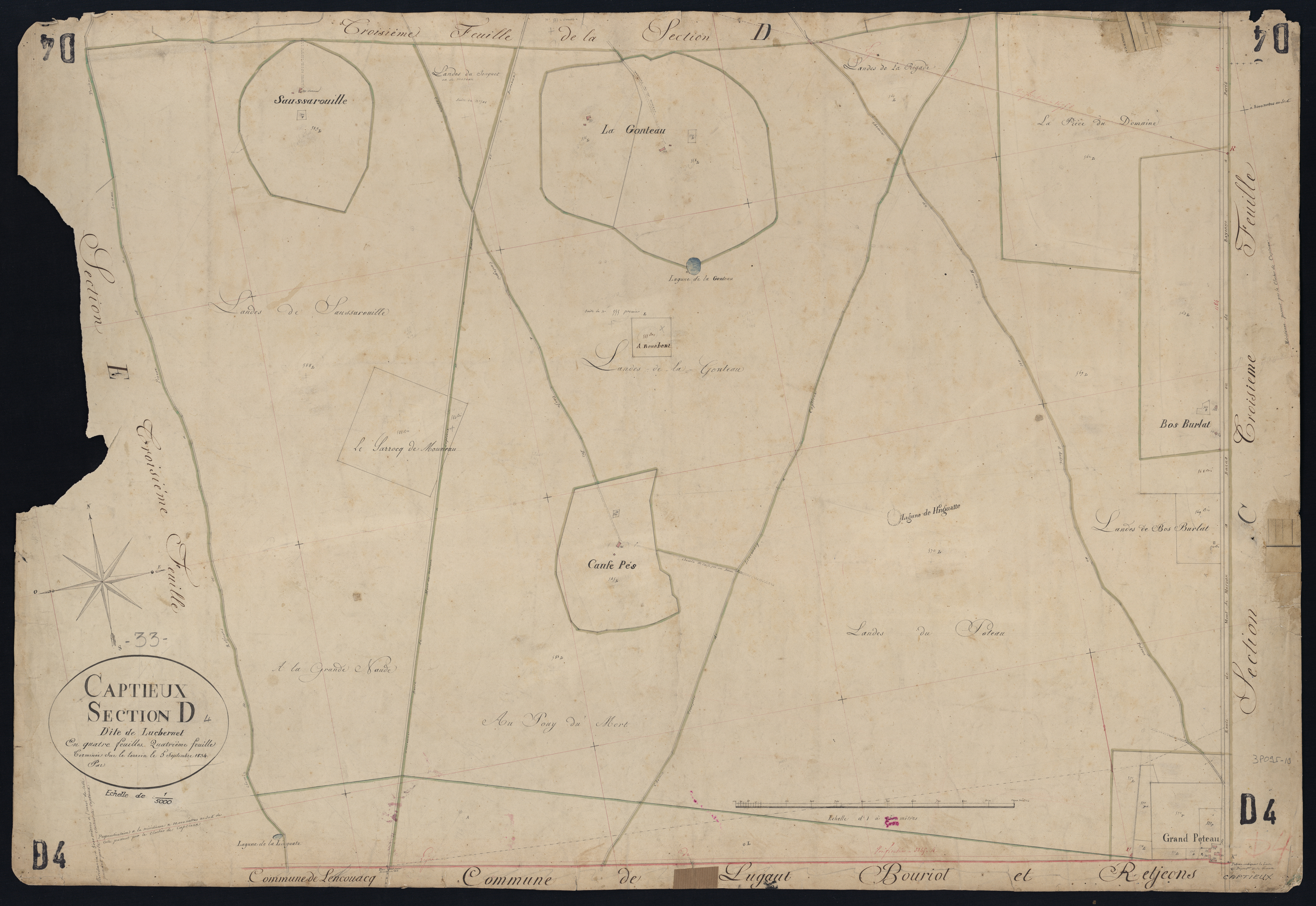Captieux - -Section D feuille 4 : Lucbernet