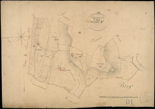 Cars - -Section D feuille 1 : Les Ricards