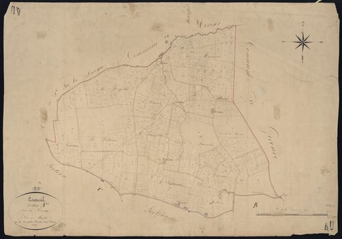 Casseuil - -Section A feuille unique : Pireau