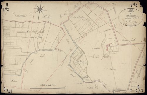 Castillon-la-Bataille - -Section D feuille 2/ 3 : Horable et Lafaye