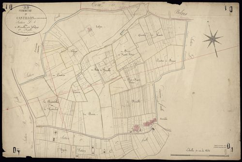 Castillon-la-Bataille - -Section D feuille 1 : Horable et Lafaye