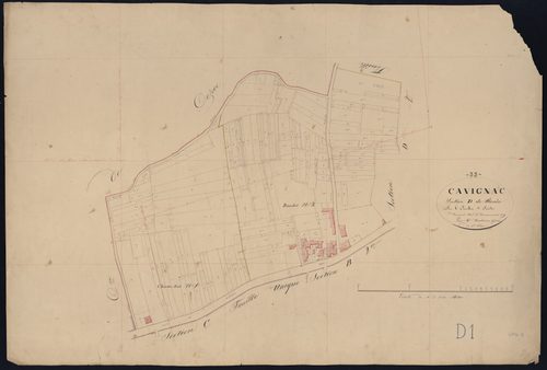 Cavignac - -Section D feuille 1 : Bonin
