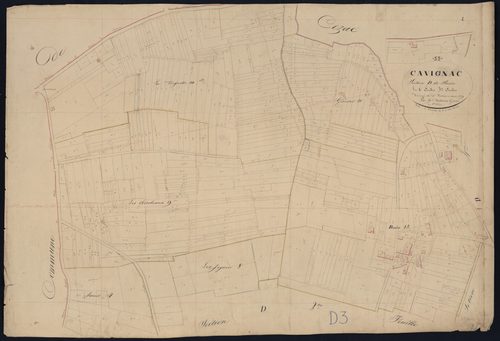 Cavignac - -Section D feuille 3 : Bonin