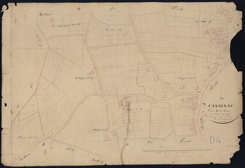 Cavignac - -Section D feuille 4 : Bonin