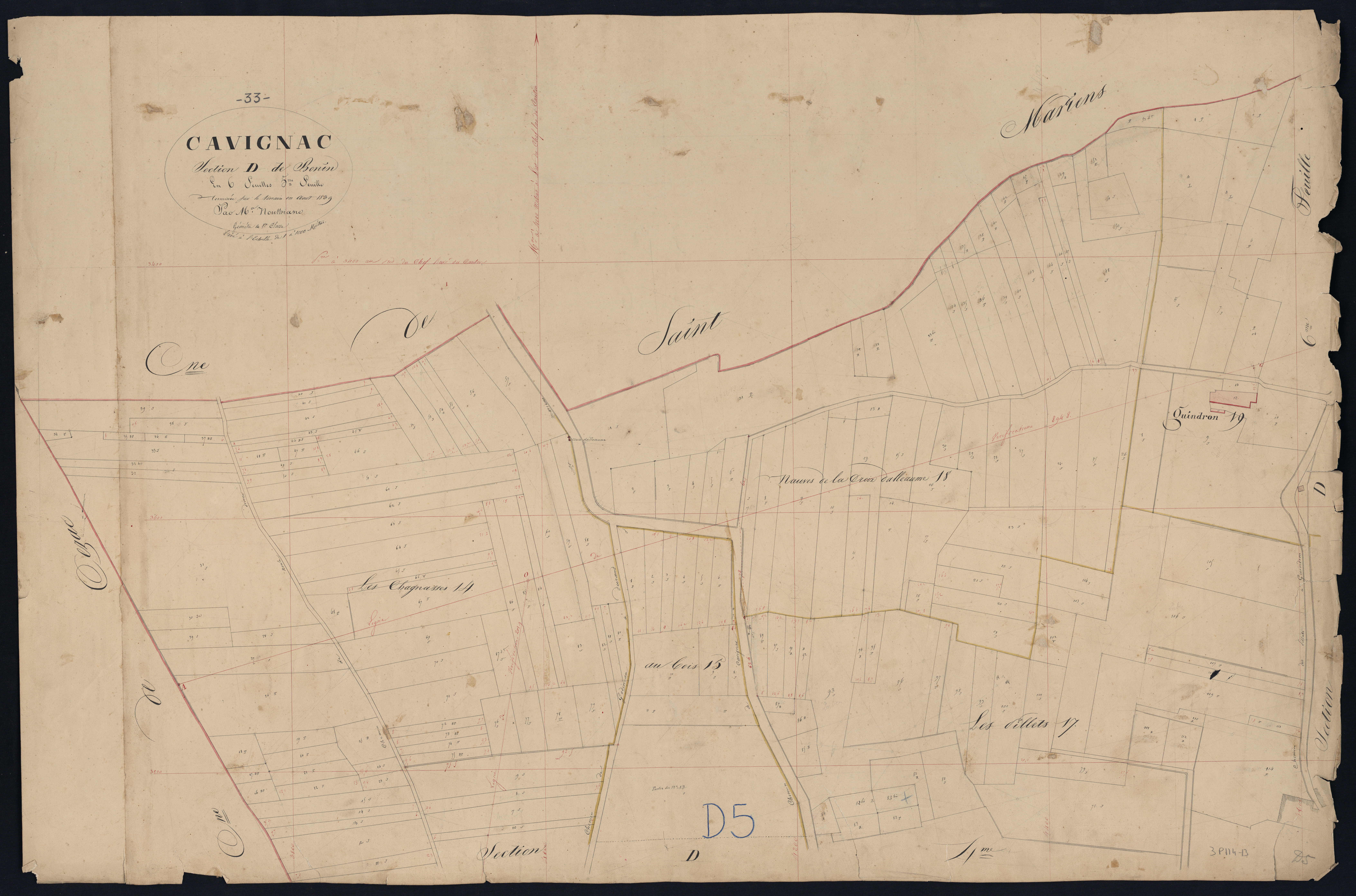 Cavignac - -Section D feuille 5 : Bonin