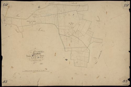 Cazalis - -Section B feuille 5 : Mauric