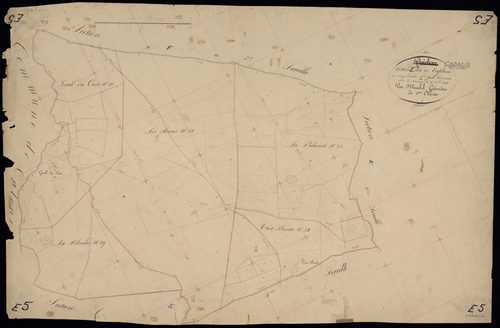 Cazalis - -Section E feuille 5 : Caplan