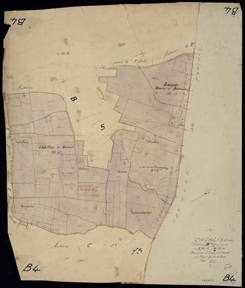 Cazalis - -Section B feuille 4 : Mauric