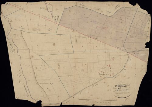 Cazalis - -Section I feuille 2 : Loumos