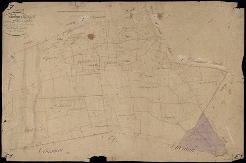 Cazalis - -Section E feuille 1 : Caplan