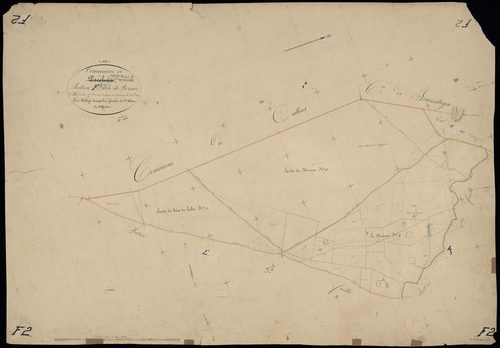 Cazalis - -Section F feuille 2 : Bernic