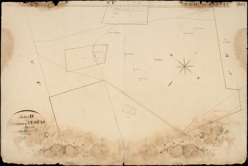 Cestas - -Section D feuille 4 : La Croix-d'Heins