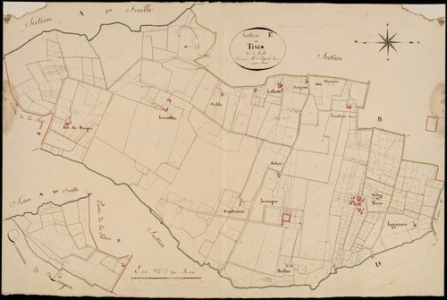Coimères - -Section E feuille unique : Le Tims