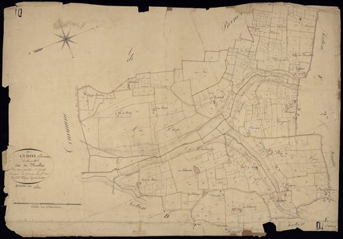 Cudos - -Section D feuille 1 : Le Moullia