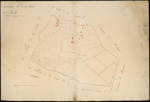 Eysines - -Section D feuille 1 : La Forêt