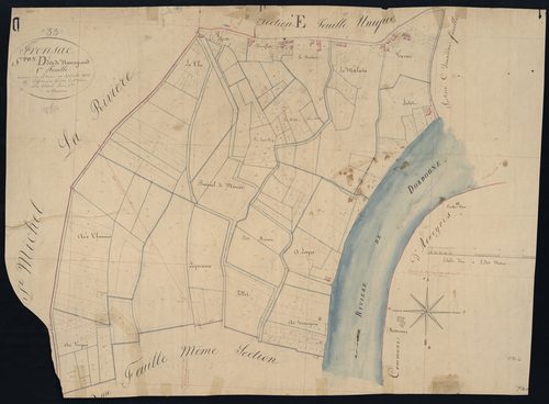 Fronsac - -Section D feuille 1 : Nauzegrand