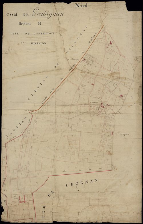Gradignan - -Section H feuille 2 : Canteloup