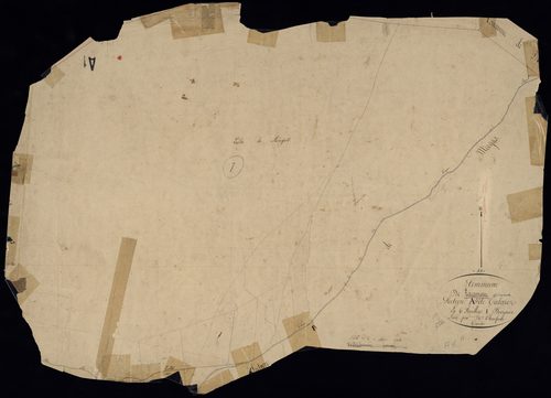 Lacanau - -Section A feuille 1 : Talaris