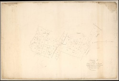 Lados - -Section A feuille 1 : Jemotte