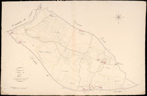 Langoiran - -Section A feuille 1 : Le Pin